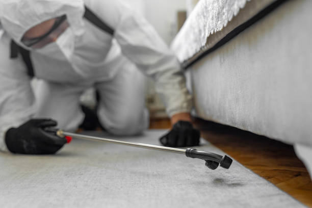 Professional Bed Bug Control technician working in Fort Riley, KS