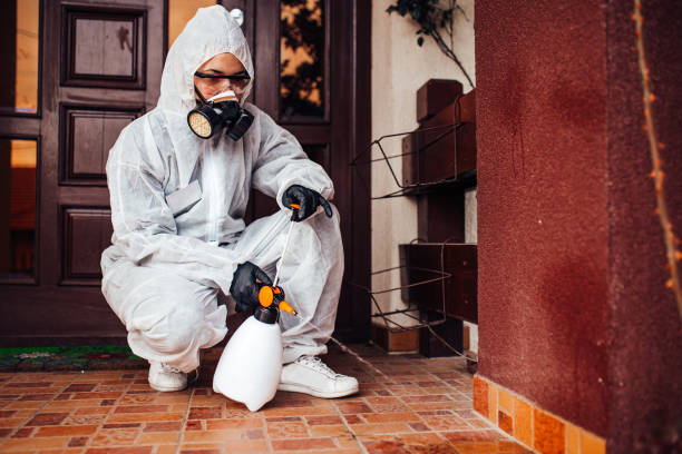 Reliable Bed Bug Control contractor in Fort Riley, KS by Nex Pest Control