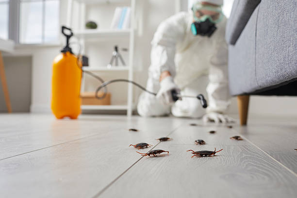 Trusted Fumigation Services service in Fort Riley, KS - Nex Pest Control